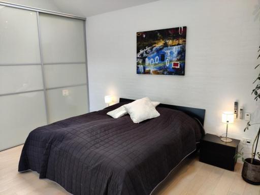Vaerelser I Midtbyen - 117 M2 Apartment Herning Zewnętrze zdjęcie